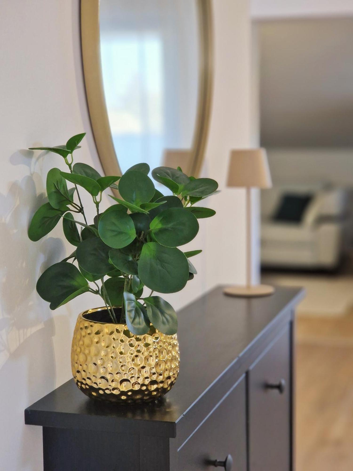 Apartments Jasna 罗维尼 外观 照片